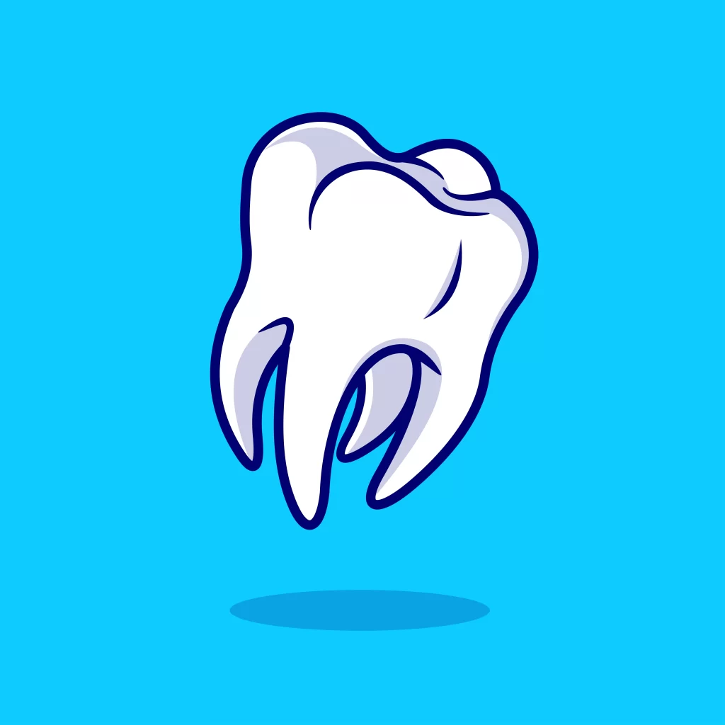 Stages of fitting braces