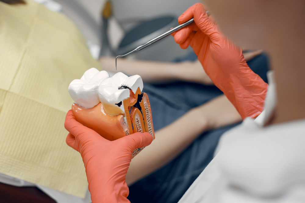Dentist assessing a tooth and its X-ray image before deciding on extraction