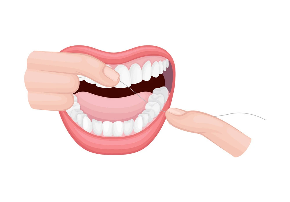 Dental floss curved in a C shape against the side surface of a tooth